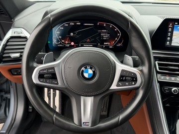 BMW M850i xDrive (foto 17)
