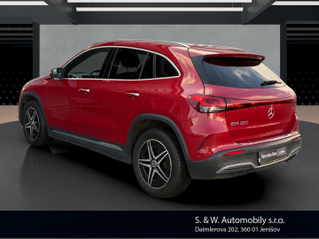 Mercedes-Benz  EQA 250 (foto 6)